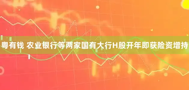 粤有钱 农业银行等两家国有大行H股开年即获险资增持