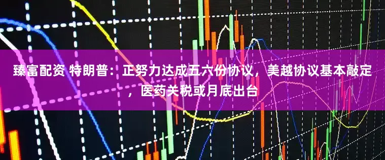 臻富配资 特朗普：正努力达成五六份协议，美越协议基本敲定，医药关税或月底出台