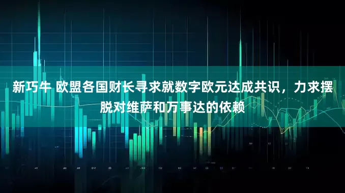 新巧牛 欧盟各国财长寻求就数字欧元达成共识,力求摆脱对维萨和万事达的依赖