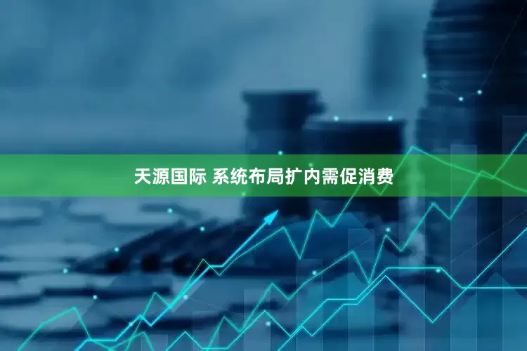 天源国际 系统布局扩内需促消费